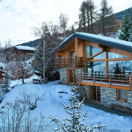 Mimique By Interhome Chalet Nendaz